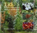 Image for Trees of New York State : Native and Naturalized