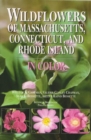 Image for Wildflowers of Massachusetts, Connecticut, and Rhode Island in color