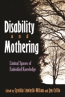 Image for Disability and Mothering