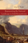 Image for Representing the National Landscape in Irish Romanticism