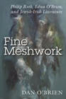 Image for Fine meshwork  : Philip Roth, Edna O&#39;Brien and Jewish-Irish literature