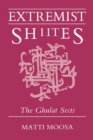 Image for Extremist Shiites  : the Ghulat sects