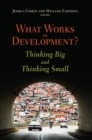 Image for What Works in Development? : Thinking Big and Thinking Small