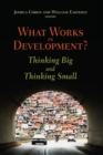 Image for What works in development?: thinking big and thinking small