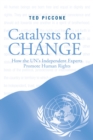 Image for Catalysts for change: how the UN&#39;s independent experts promote human rights