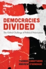 Image for Democracies Divided: The Global Challenge of Political Polarization