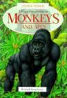 Image for Monkeys and Apes