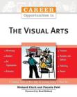 Image for Career Opportunities in the Visual Arts