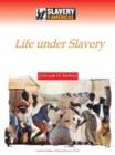 Image for Maintaining a Culture : Life Under Slavery