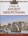 Image for Living in Ancient Mesopotamia