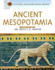 Image for Ancient Mesopotamia