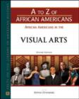 Image for African Americans in the Visual Arts