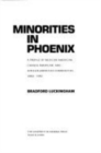 Image for Minorities in Phoenix : A Profile of Mexican American, Chinese American, and African American Communities, 1860-1992