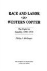 Image for Race and Labor in Western Copper