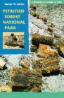 Image for Petrified Forest National Park : A Wilderness Bound in Time