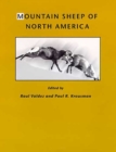 Image for Mountain Sheep of North America