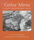 Image for Cedar Mesa : A Place Where Spirits Dwell