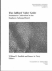 Image for THE SAFFORD VALLEY GRIDS