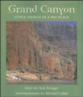 Image for Grand Canyon : Little Things in a Big Place