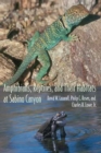 Image for Amphibians, Reptiles, and Their Habitats at Sabino Canyon