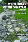 Image for White Roads of the Yucatan
