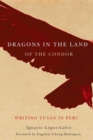 Image for Dragons in the Land of the Condor