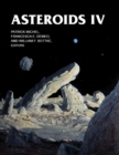 Image for Asteroids IV