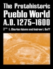 Image for The protohistoric Pueblo world, A.D. 1275-1600