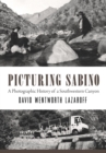 Image for Picturing Sabino  : a photographic history of a southwestern canyon