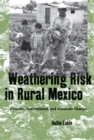 Image for Weathering Risk in Rural Mexico: Climatic, Institutional, and Economic Change