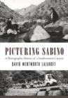 Image for Picturing Sabino: A Photographic History of a Southwestern Canyon