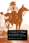 Image for A nation of villages: riot and rebellion in the Mexican Huasteca, 1750-1850
