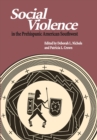 Image for Social violence in the prehispanic American Southwest