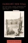 Image for Damming the Gila : The Gila River Indian Community and the San Carlos Irrigation Project, 1900-1942