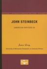 Image for John Steinbeck - American Writers 94 : University of Minnesota Pamphlets on American Writers