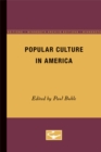 Image for Popular Culture in America