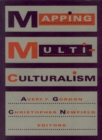 Image for Mapping Multiculturalism