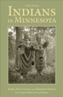 Image for Indians in Minnesota