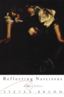 Image for Reflecting Narcissus : A Queer Aesthetic