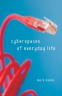 Image for Cyberspaces of everyday life