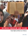Image for Between feminism and Islam  : human rights and Sharia law Morocco