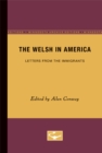 Image for The Welsh in America