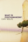 Image for What is posthumanism?
