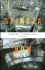 Image for Spinoza now