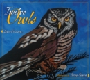 Image for Twelve owls