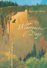 Image for Wilderness days