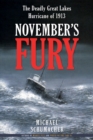 Image for November&#39;s fury  : the deadly Great Lakes hurricane of 1913