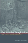 Image for The Punitive Imagination : Law, Justice, and Responsibility
