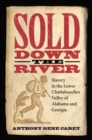 Image for Sold Down the River : Slavery in the Lower Chattahoochee Valley of Alabama and Georgia
