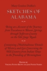 Image for Sketches of Alabama: being an account of the journey from Tuscaloosa to Blount Springs through Jefferson County on the old stage roads, now first published in book form.